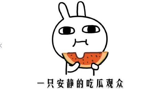 抖音以前的网红吃瓜事件,揭秘网络舆论背后的真相与争议  第2张